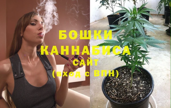 сатива Баксан