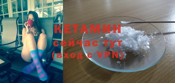 сатива Баксан
