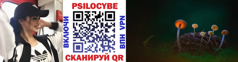 Купить  Велиж  Псилоцибиновые грибы Psilocybine cubensis 