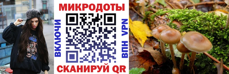 Галлюциногенные грибы GOLDEN TEACHER Велиж